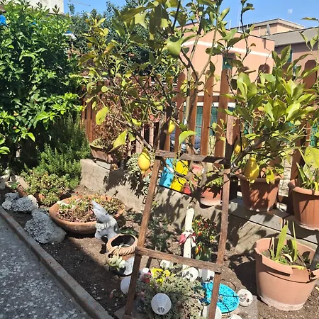 Apartamento Lemon Garden Roma