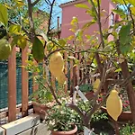 Lemon Garden Daire *