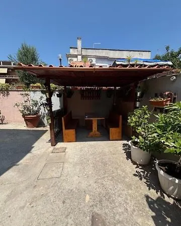 Lemon Garden