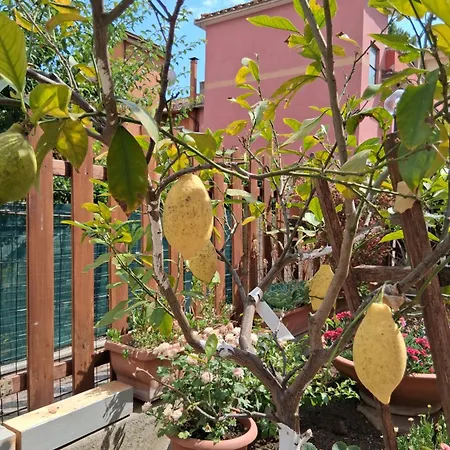 Lemon Garden Appartement *