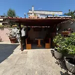 Lemon Garden
