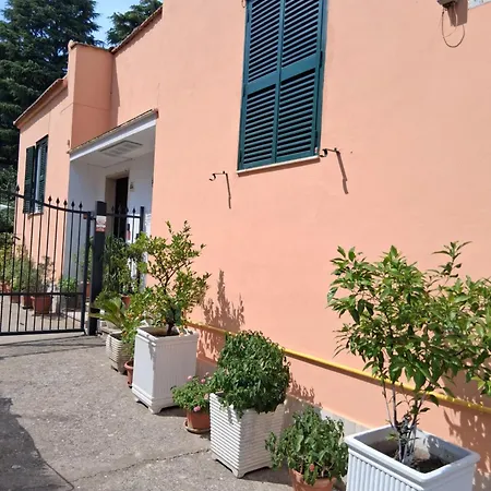 Lemon Garden Apartment